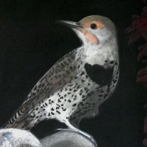 Meet your Posher, Toni